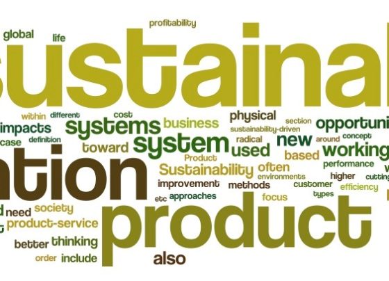 Innovations in Sustainable Product Design