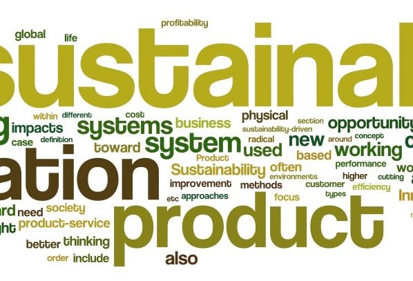 Innovations in Sustainable Product Design