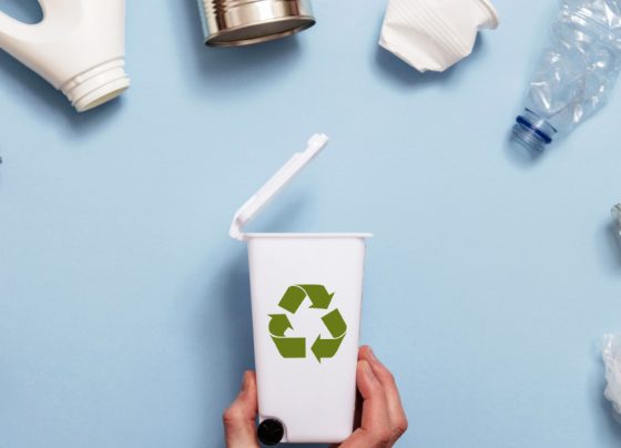 Trends in Eco-Friendly Packaging