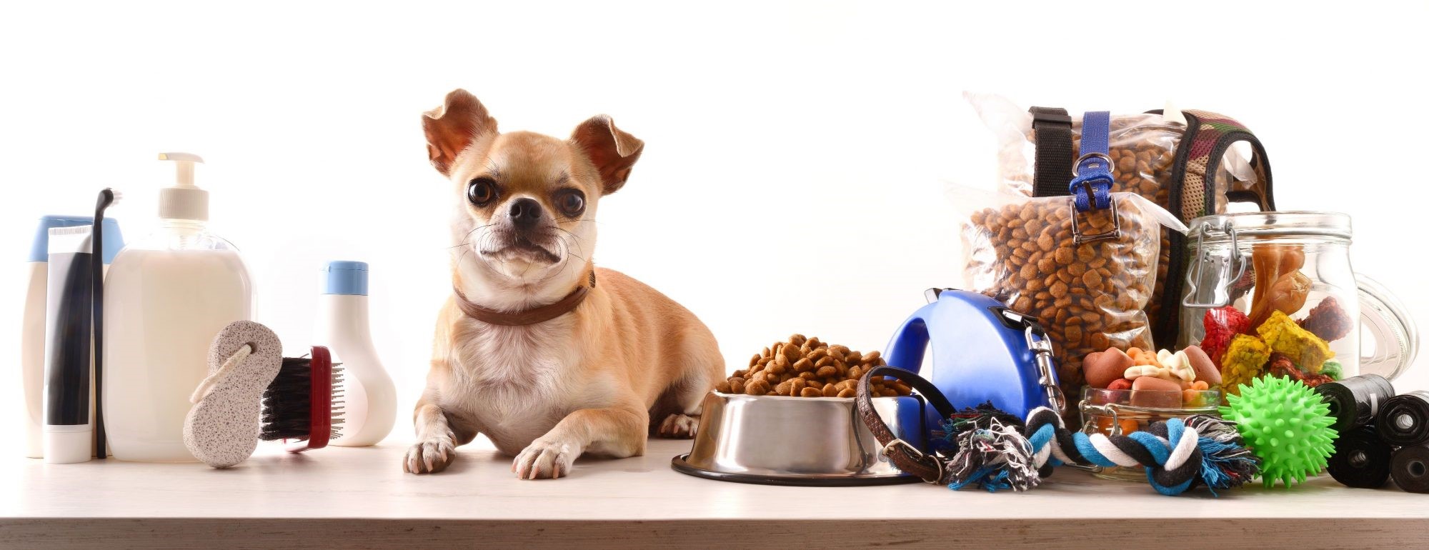 The Growing Demand for Smart Pet Products