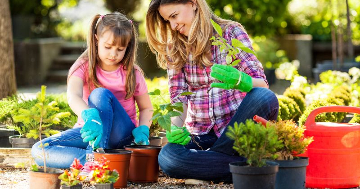 Trends in Home Gardening