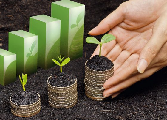 Corporate Responsibility in Sustainable Investing