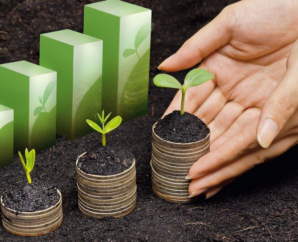 Corporate Responsibility in Sustainable Investing