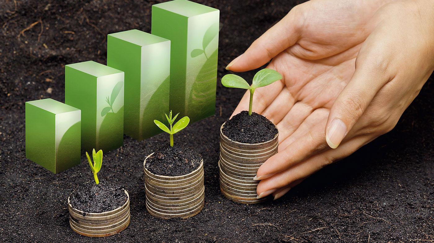 Corporate Responsibility in Sustainable Investing