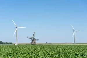 Trends in Renewable Energy 