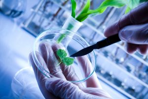 The Future of Biotechnology