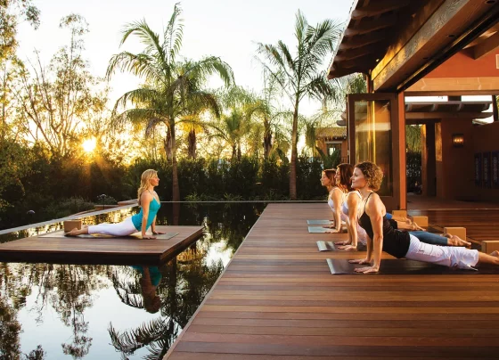 Wellness Retreats