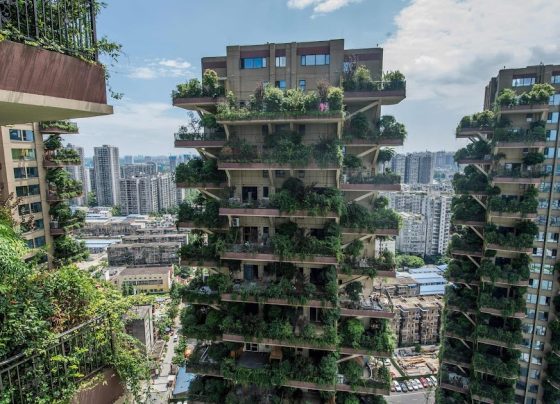 Trends in Urban Gardening: Bringing Nature to City Living