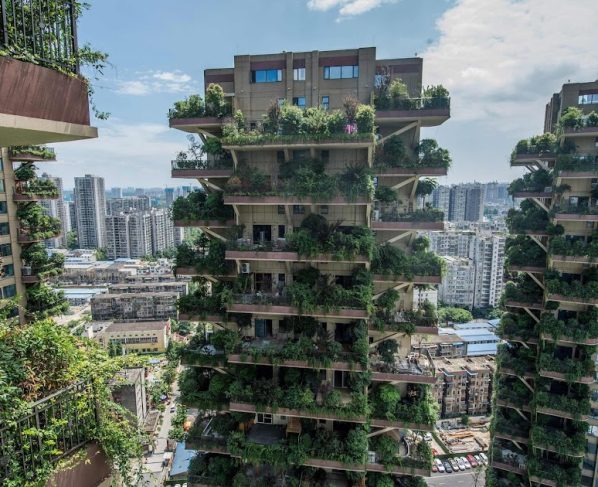 Trends in Urban Gardening: Bringing Nature to City Living