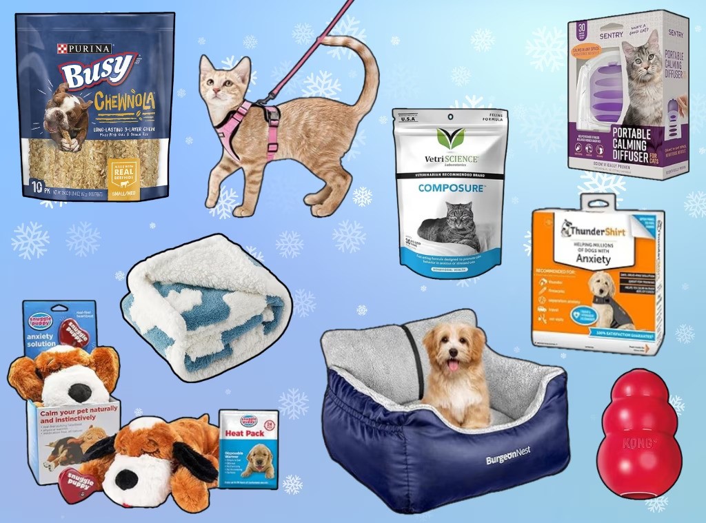 Pet Products to Watch in 2024 Trends and Innovations