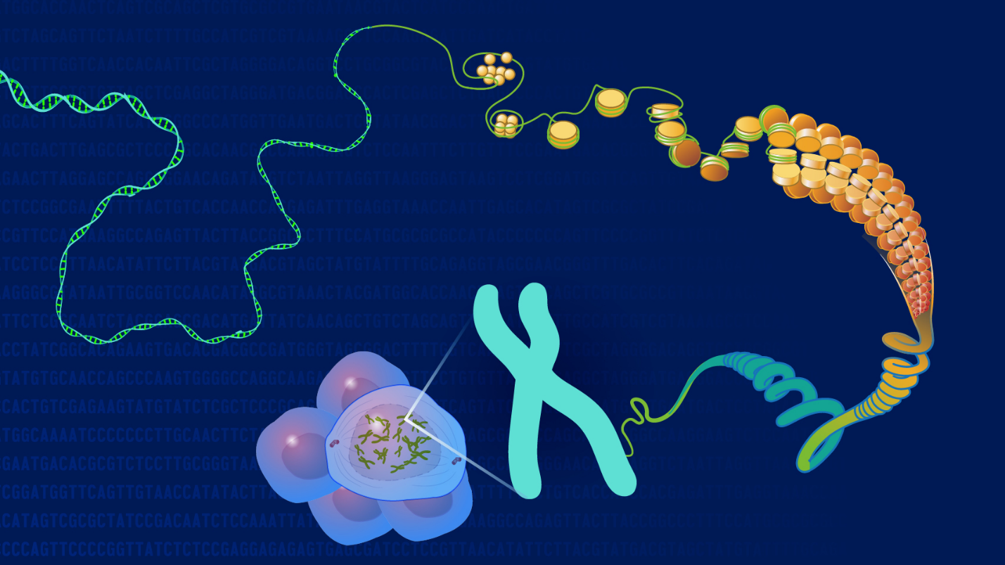 Future of Personalized Cancer Treatments | AI & Genomics