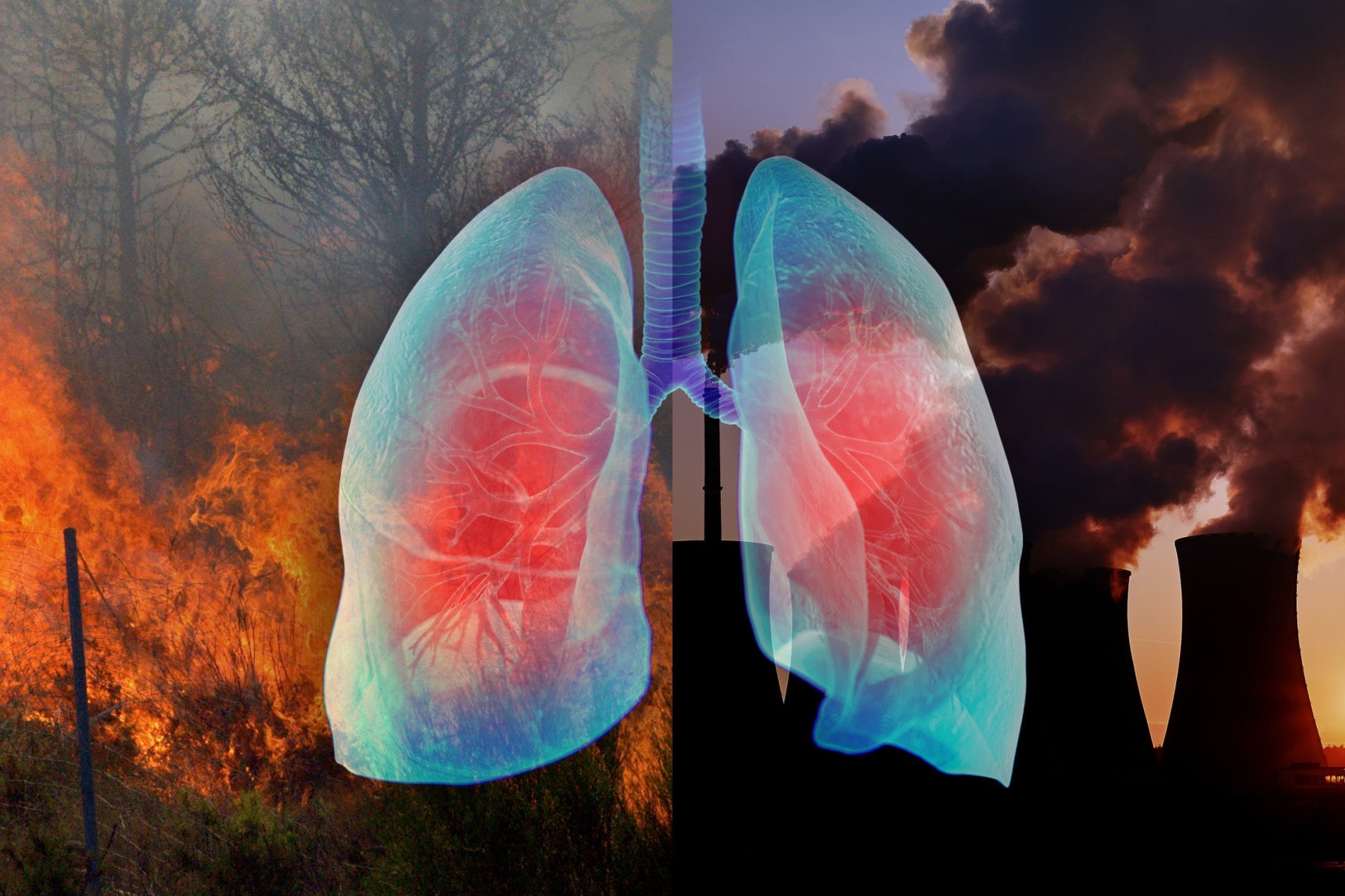 Impact of Air Pollution on Health: New Findings