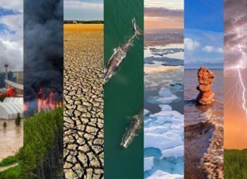 The Impact of Climate Change on Public Health: A Growing Concern