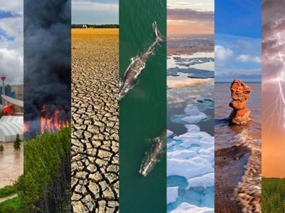 The Impact of Climate Change on Public Health: A Growing Concern