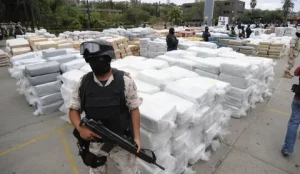 Mexico's Drug Policy Reforms: Progress and Challenges