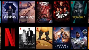 Netflix Movies & Shows 2024