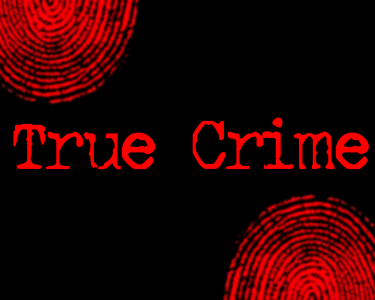 True Crime TV Shows 2024