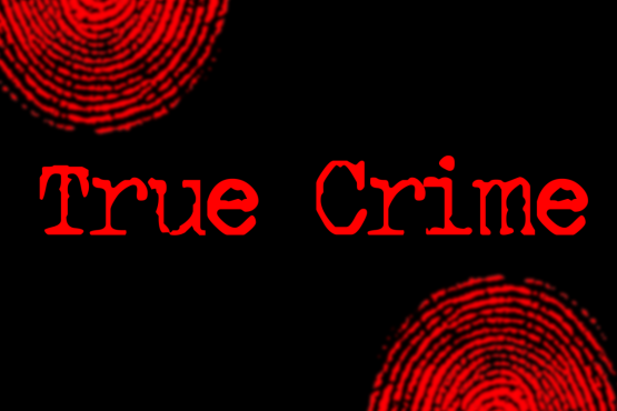 True Crime TV Shows 2024