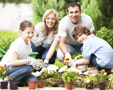 Home Gardening