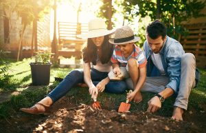 Home Gardening