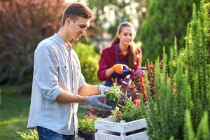 Home Gardening