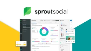 Tools for Managing Multiple Social Media Accounts