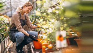 Home Gardening