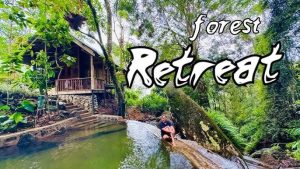 Forest Retreats and Nature Escapes 2025