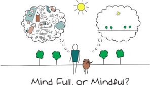 Sustainable Lifestyle Tips to Live Greener in 2025