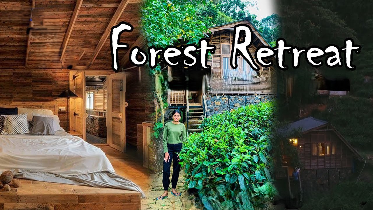 Rising Interest in Forest Retreats and Nature Escapes 2025