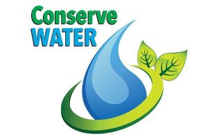 Sustainable Lifestyle Tips to Live Greener in 2025