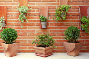 Vertical Herb Garden Hacks for Urban Home Spaces