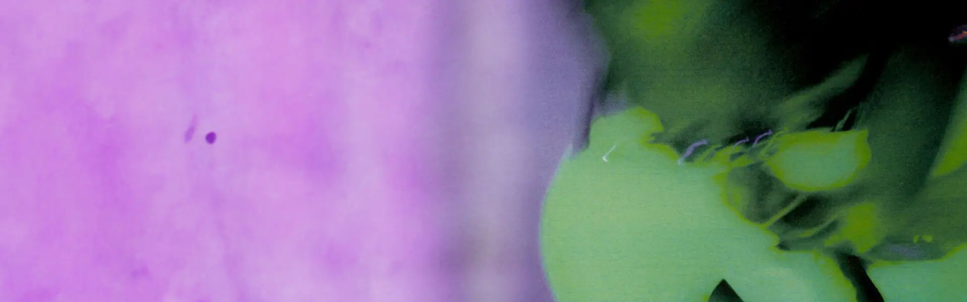 Why Everyone’s Obsessed with Spider Hoodies Fashion stores