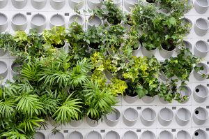 Vertical Herb Garden Hacks for Urban Home Spaces