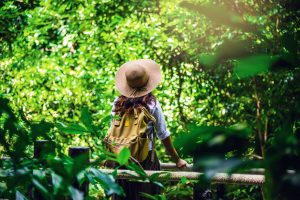 Guide to Offbeat Sustainable Travel Destinations for 2025