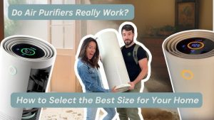 Indoor Air Purifiers 2025