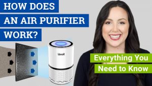 Indoor Air Purifiers 2025