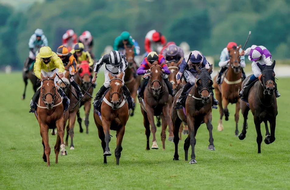 Bet on Racing: Your Ultimate Guide to Winning at the Track