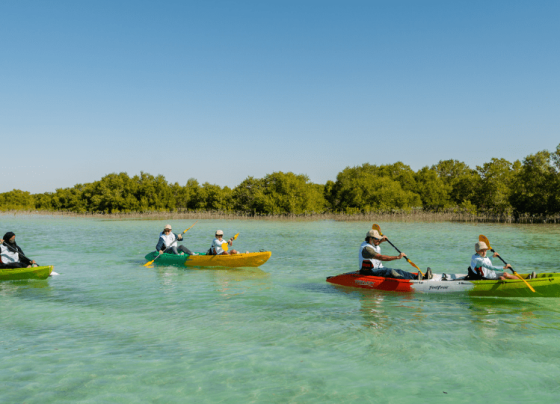 Mangrove Kayaking Qatar – Paddle Through Nature’s Oasis