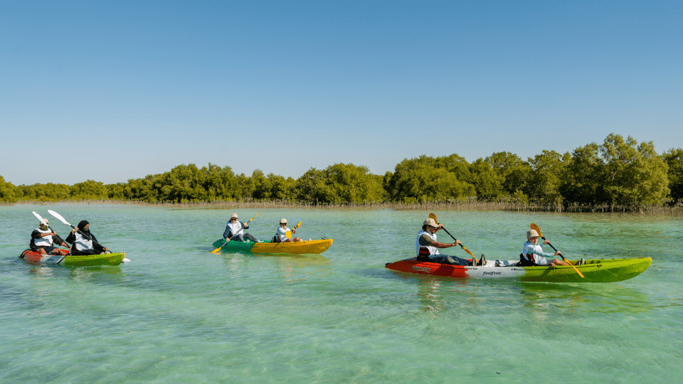 Mangrove Kayaking Qatar – Paddle Through Nature’s Hidden Oasis