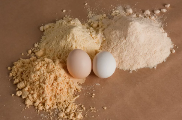 Whole Egg Powder Manufacturing Plant Cost Report 2025