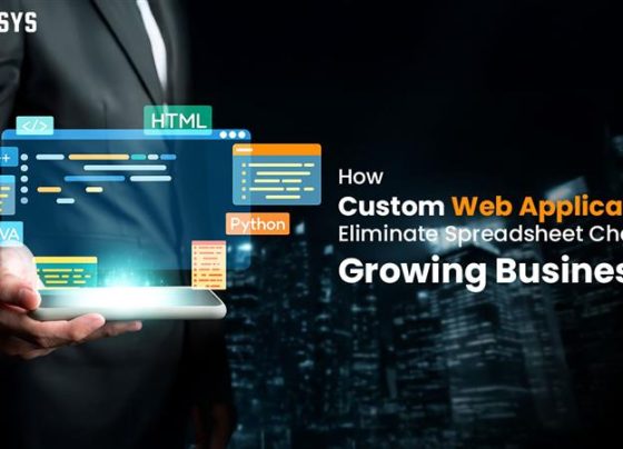 How-Custom-Web-Applications-Eliminate-Spreadsheet-Chaos-for-Growing-Businesses