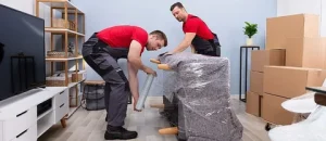 Furniture Movers